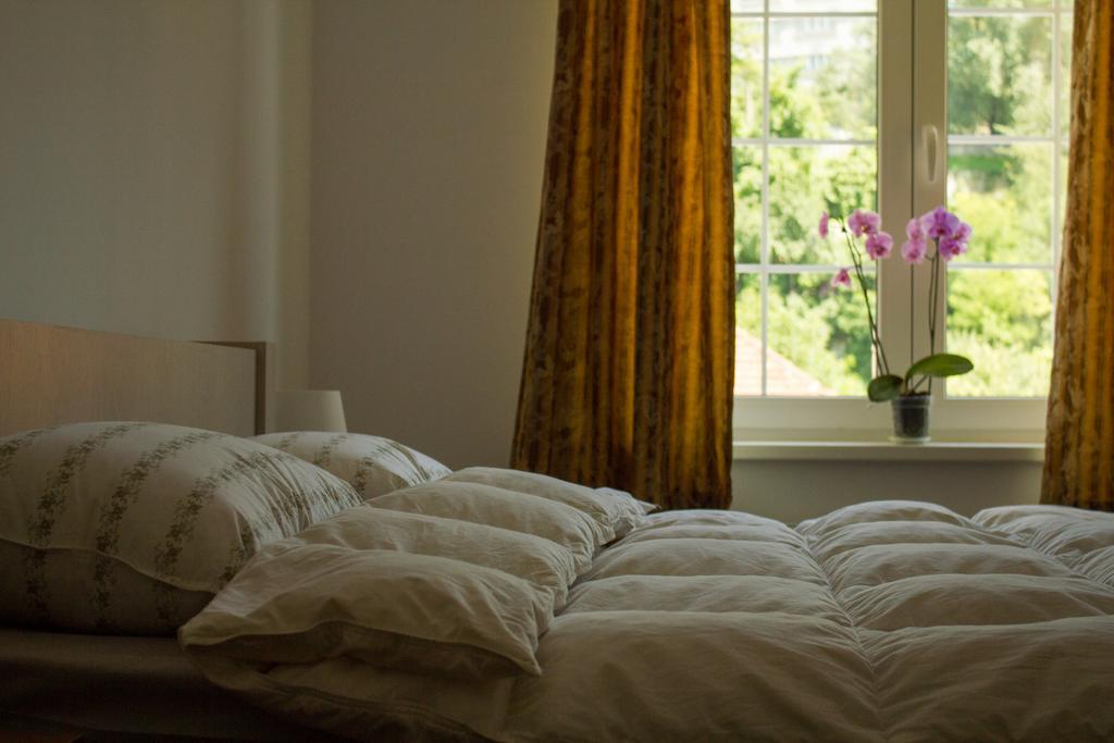Avram Iancu Private With Ac Apartment