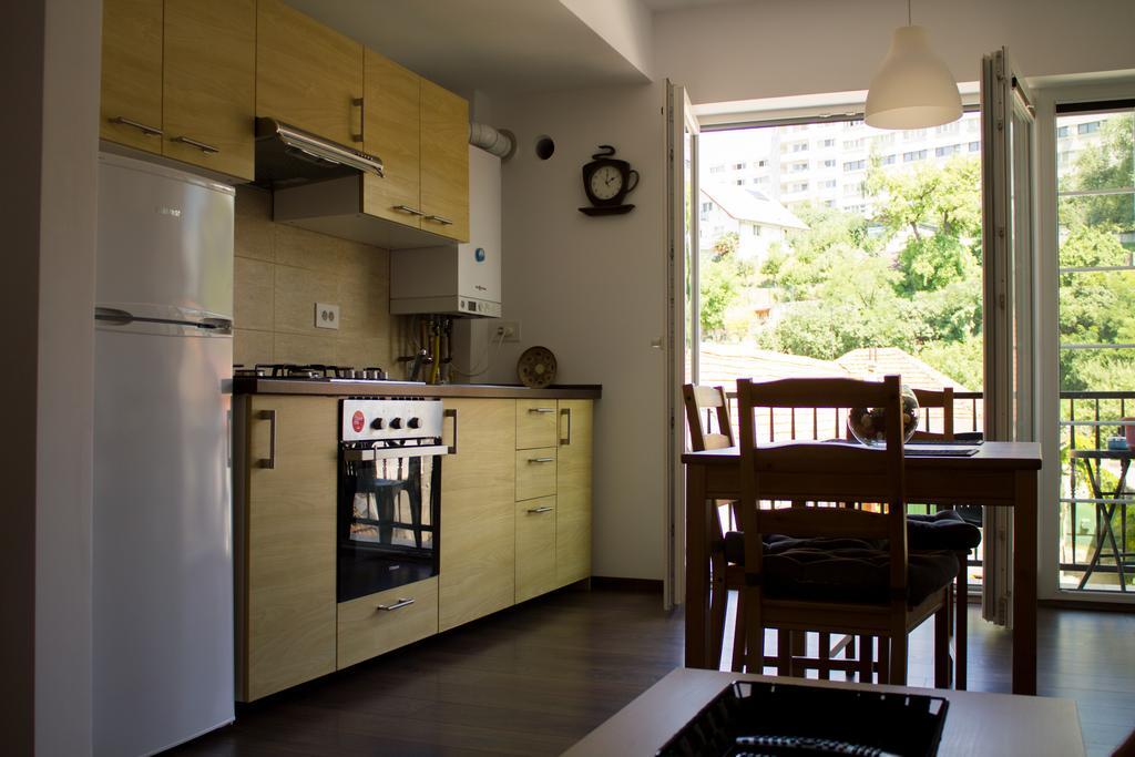 Avram Iancu Private With Ac Apartment Brasov